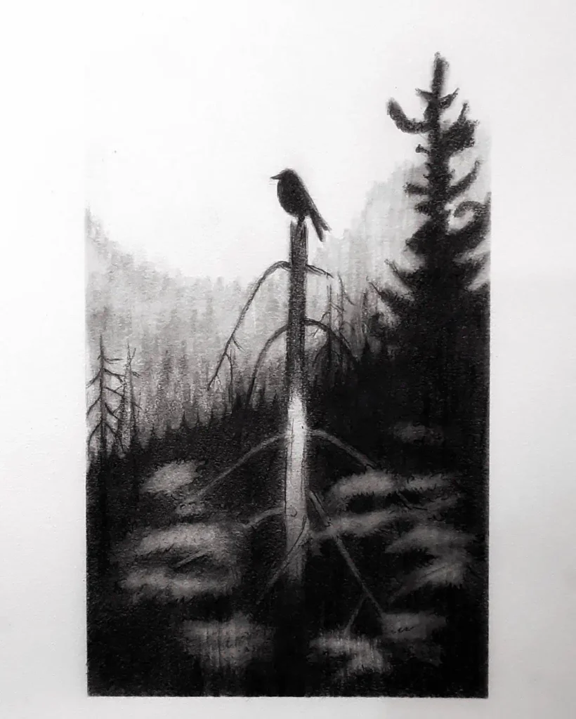 Larissa Gray Art - Drawing 28 - Nightingale drawing