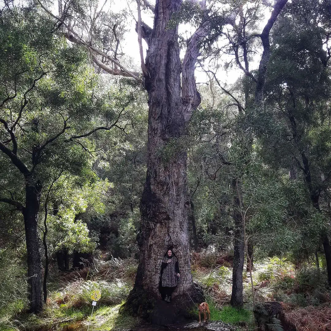 Larissa Gray and dog standing in tree